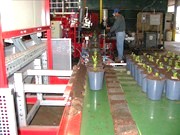 container buffer system