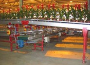 digital vision and grading system