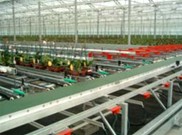 digital vision and grading system