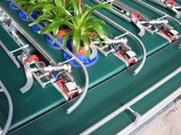 digital vision and grading system