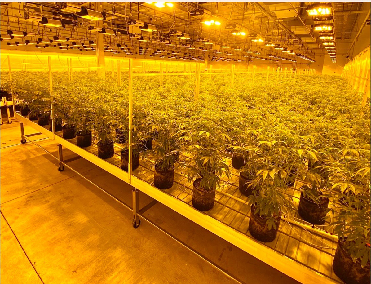 Glider Series Benches