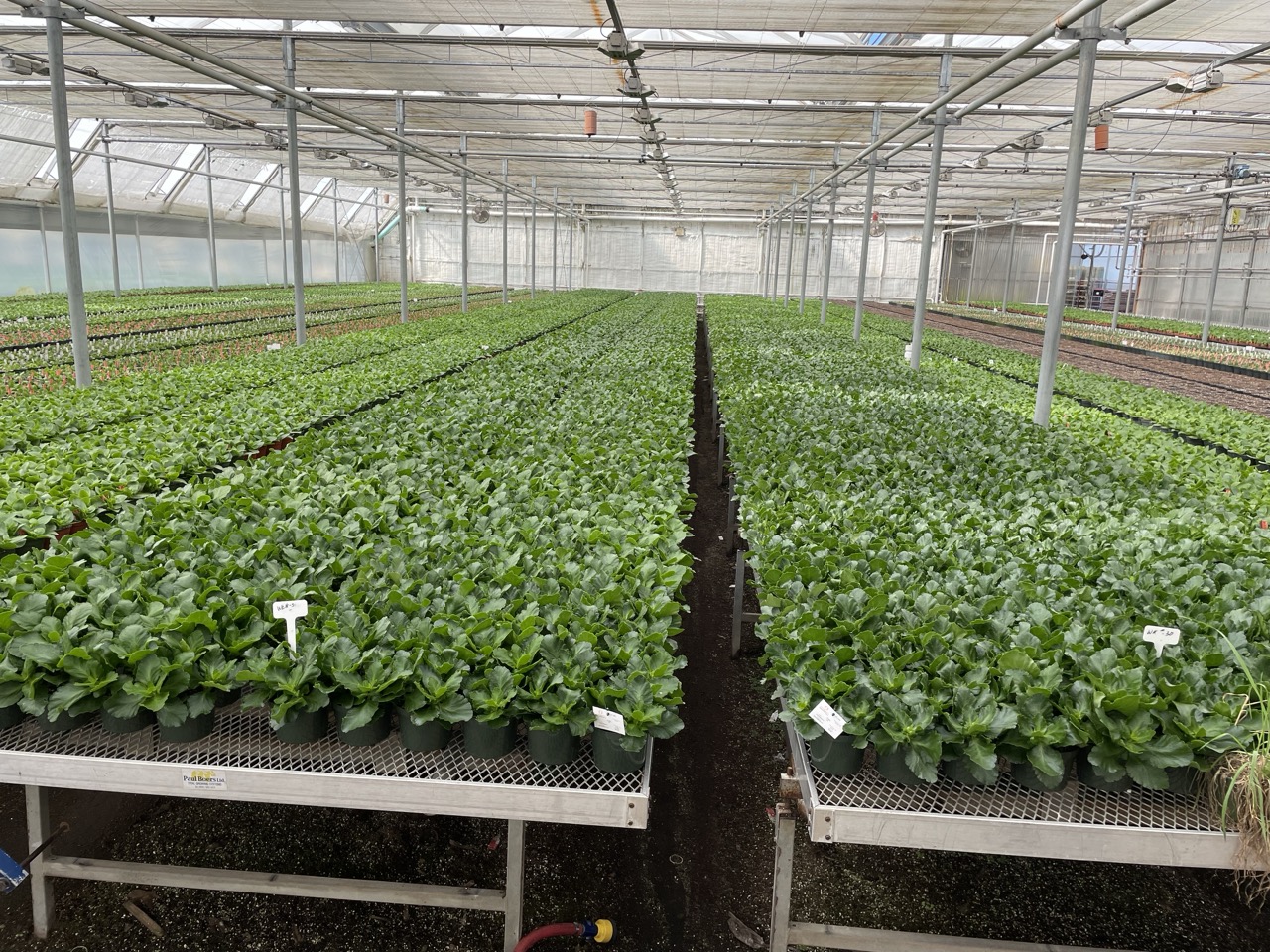 Expanded Metal Benches