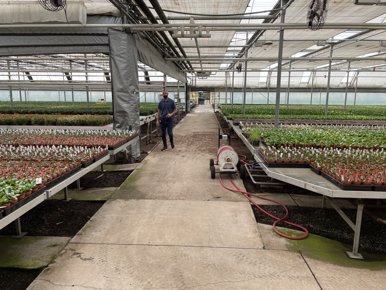 Expanded Metal Benches