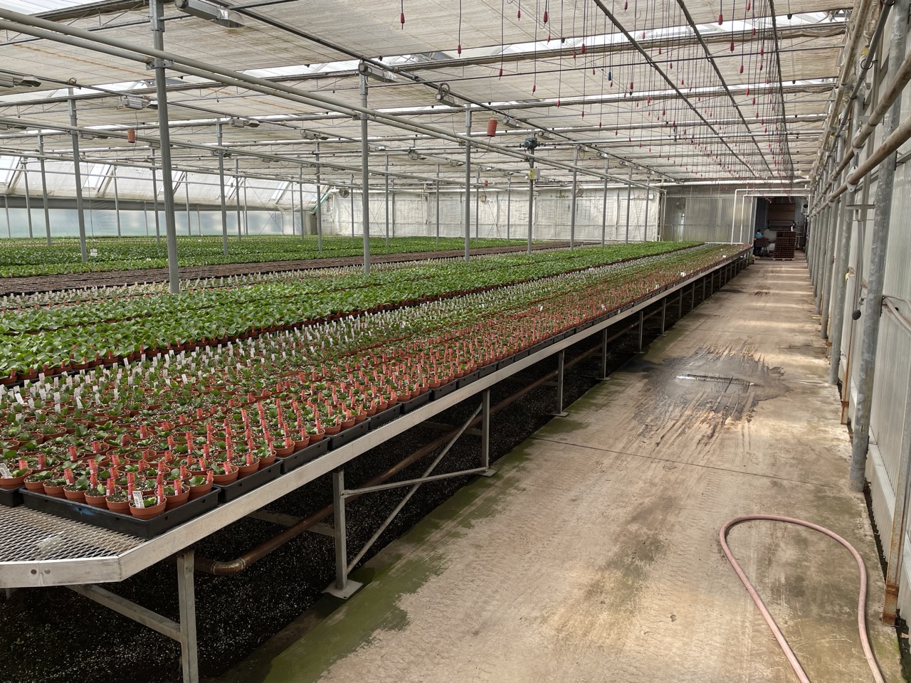 Expanded Metal Benches