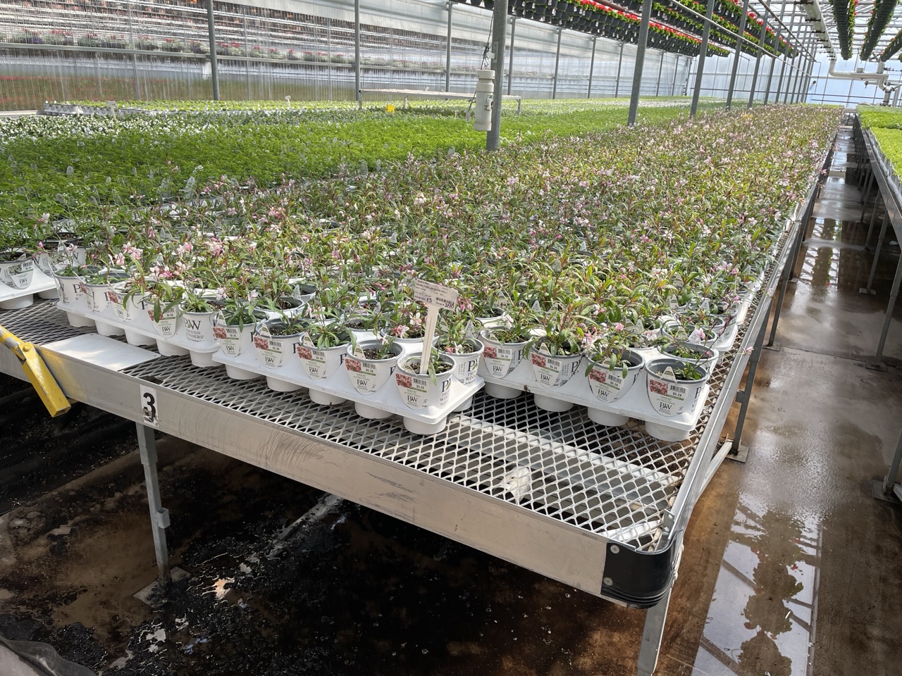 Expanded Metal Benches