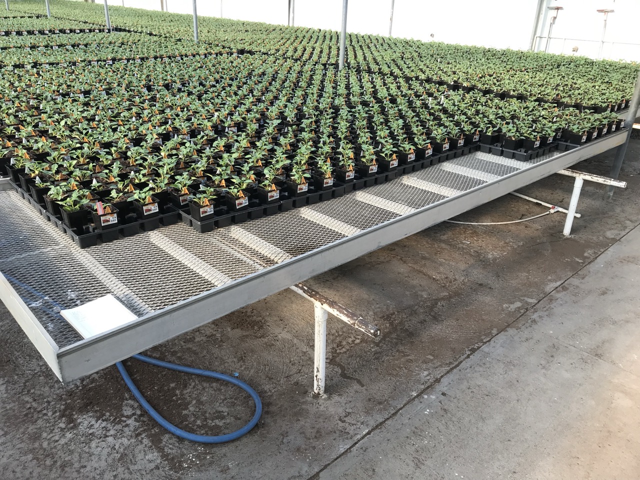 Expanded Metal Benches