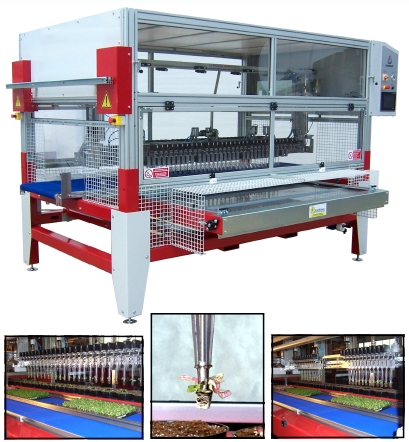 RW2100 Twin Transplanter