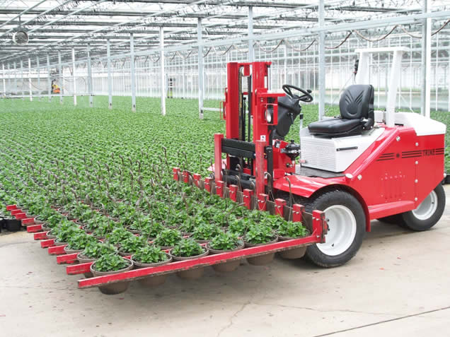 TRIKE Forklift