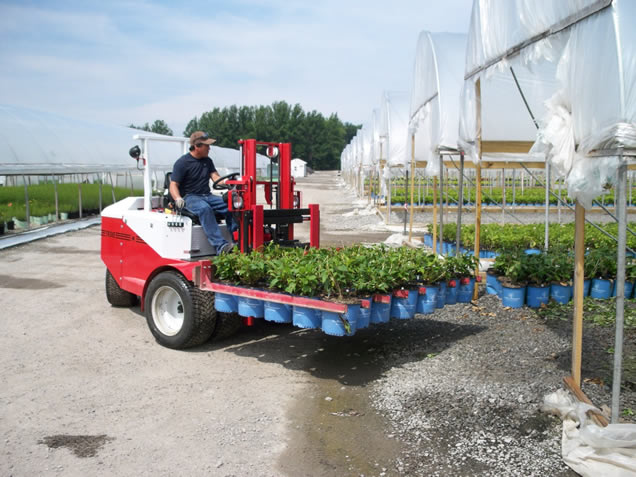 TRIKE Forklift