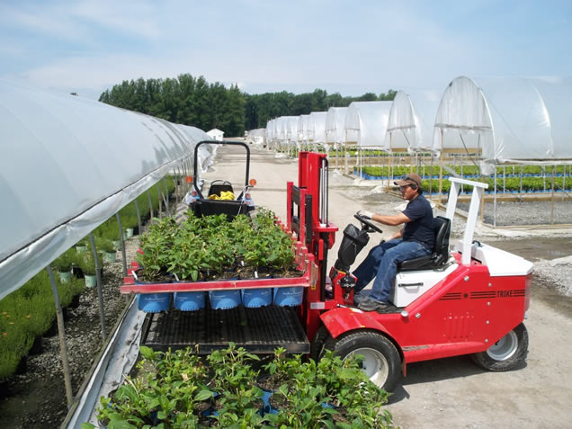 TRIKE Forklift
