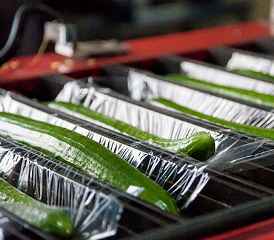 Aweta Sorting and Packaging