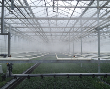 Ultracool Fog System