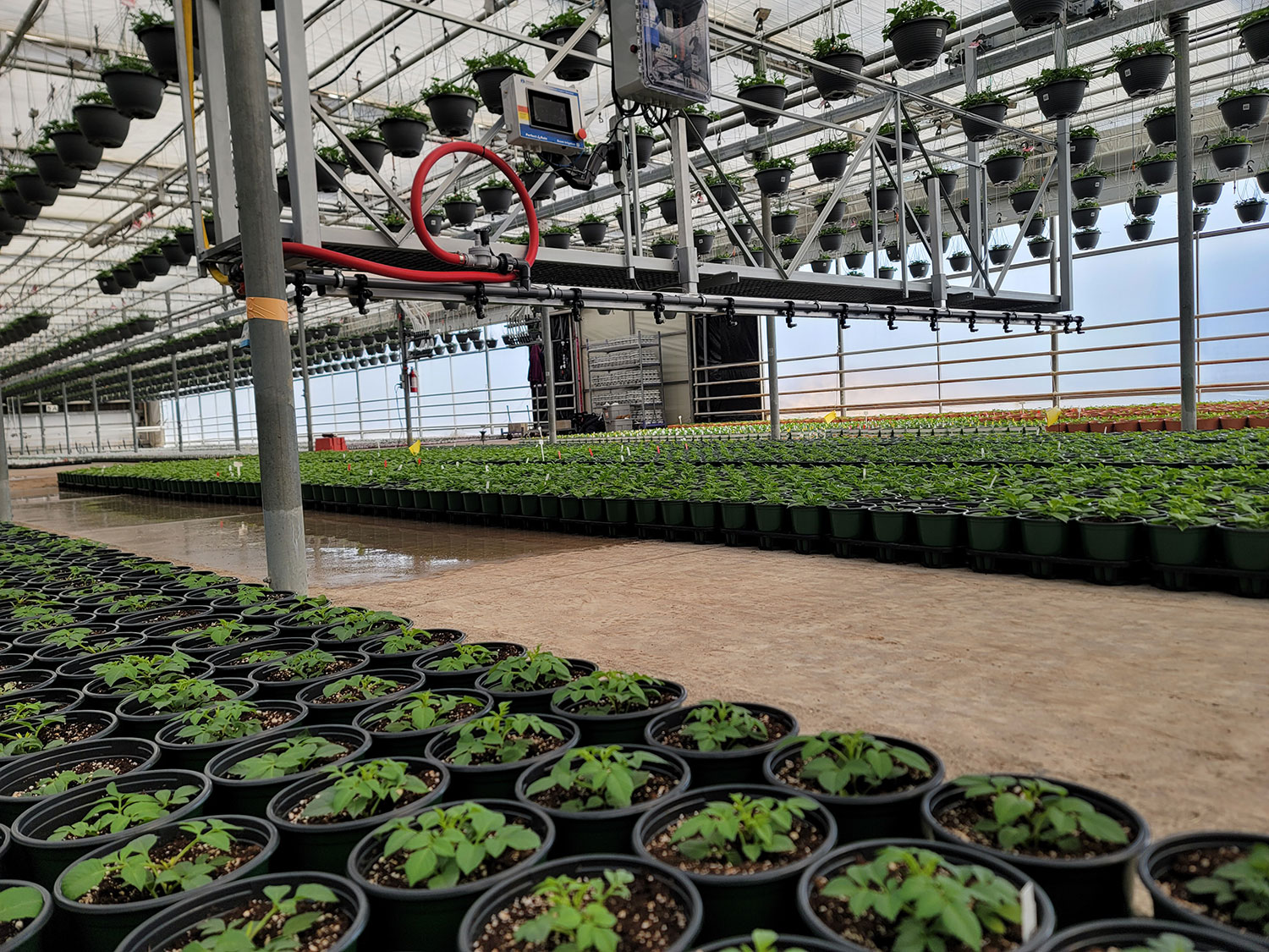 Lightweight Gantry Boom